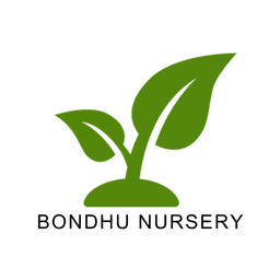 Bondhu Nursery