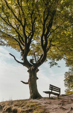 trees