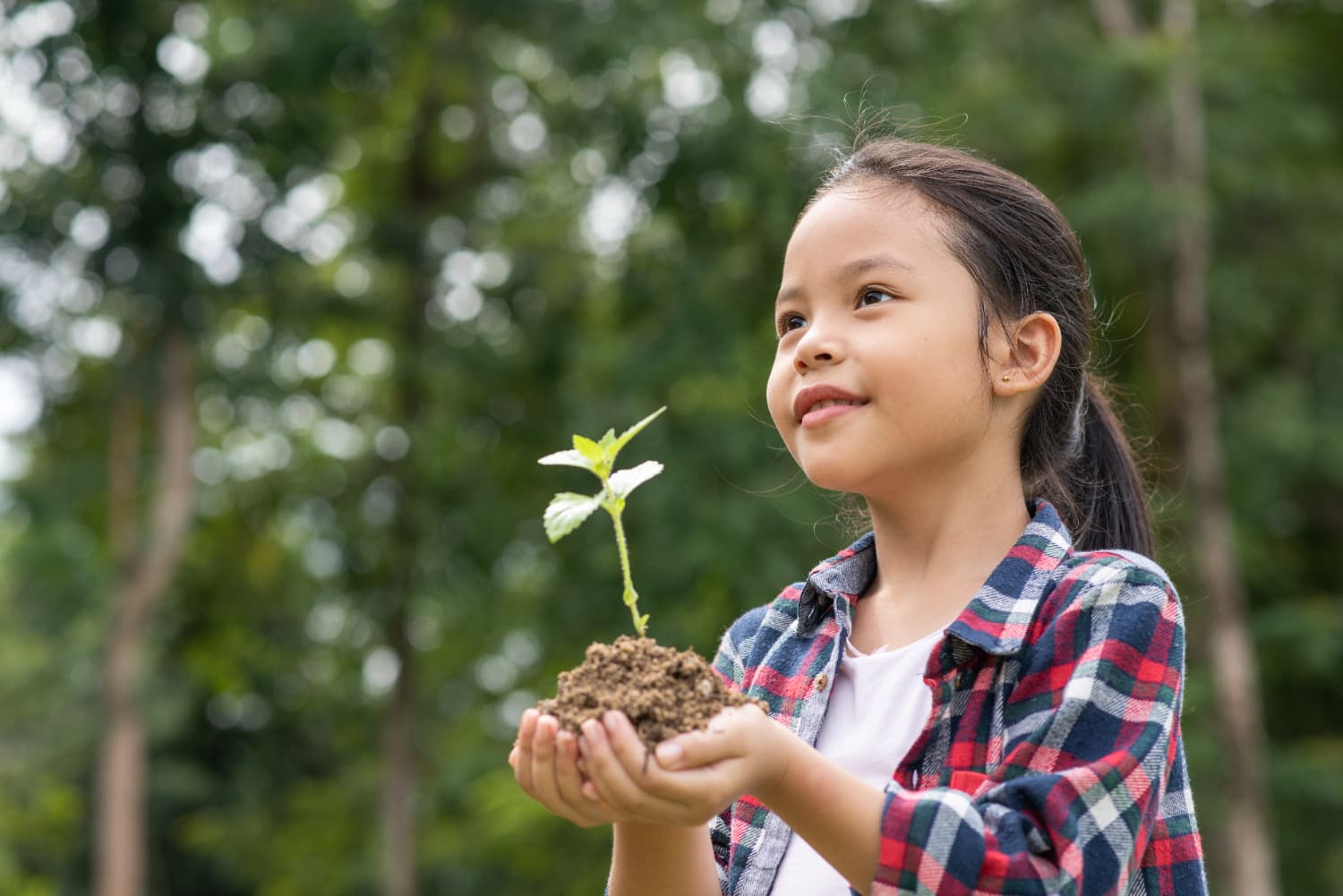 One Tree for One Student