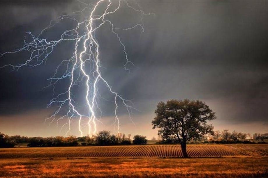 Safe Life from the Thunderstorms with Plants